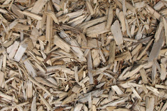 biomass boilers Aberbargoed